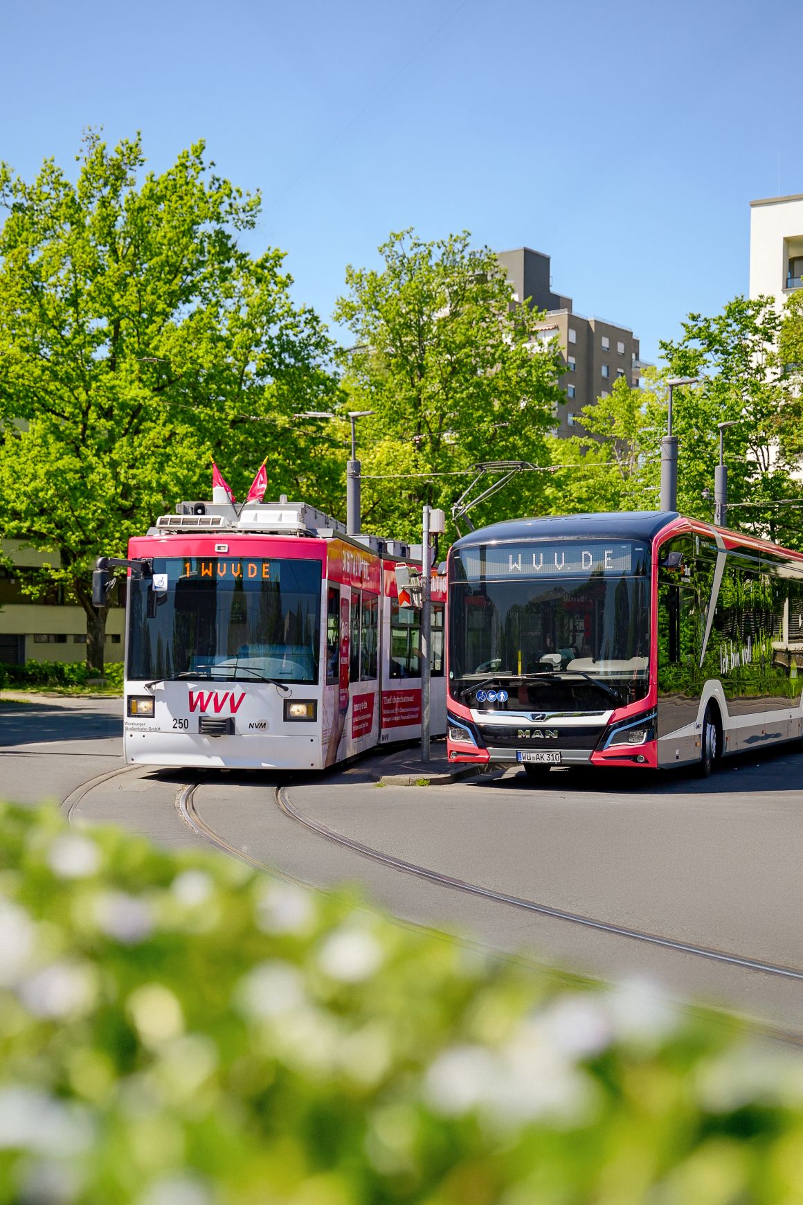 E-Busse_OEPNV E-Busse_OEPNV