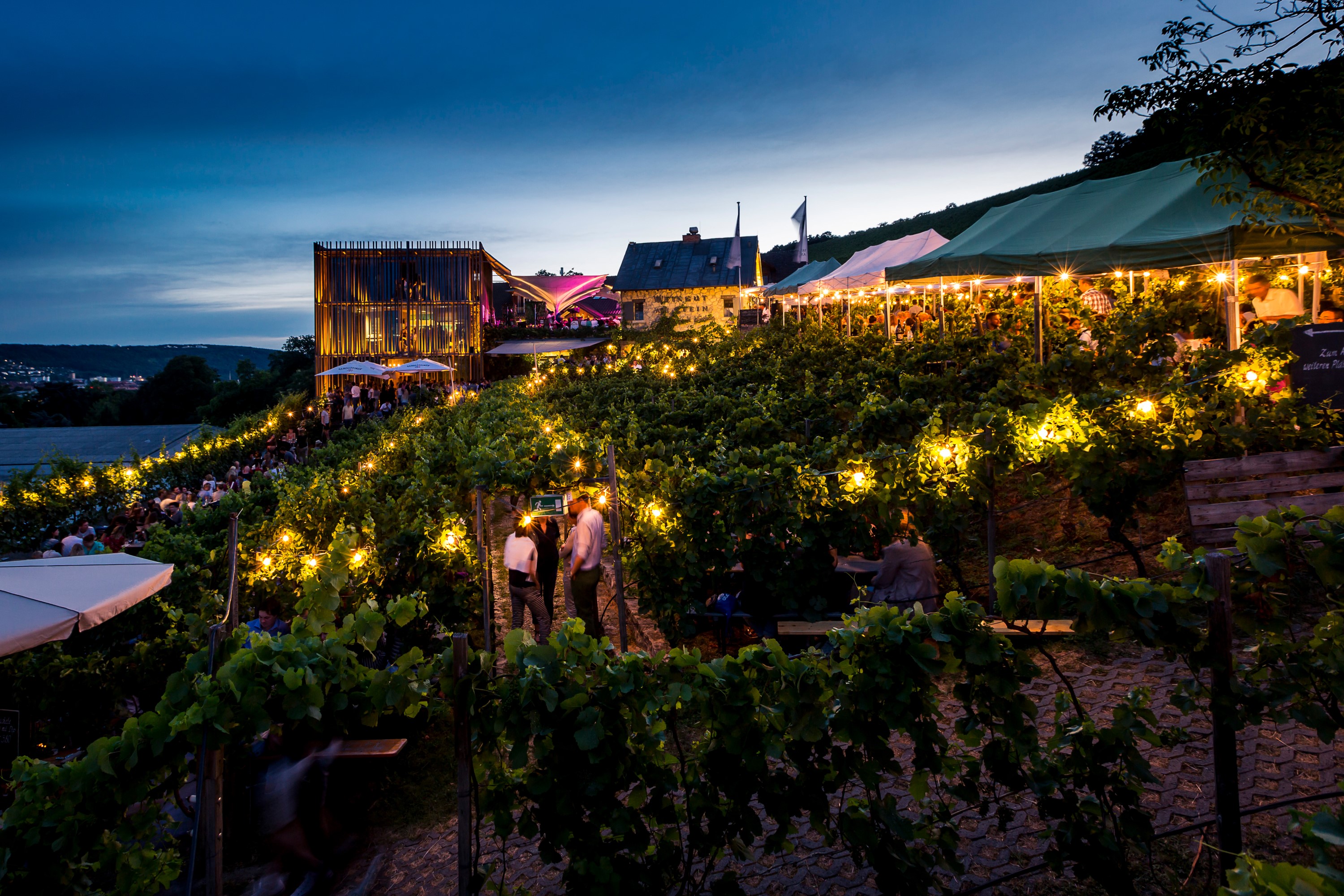 WVV_Event_Weingut_am_Stein_b