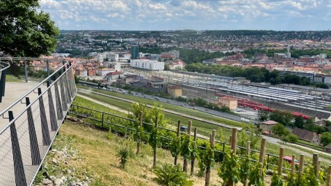 Blick auf Würzburg