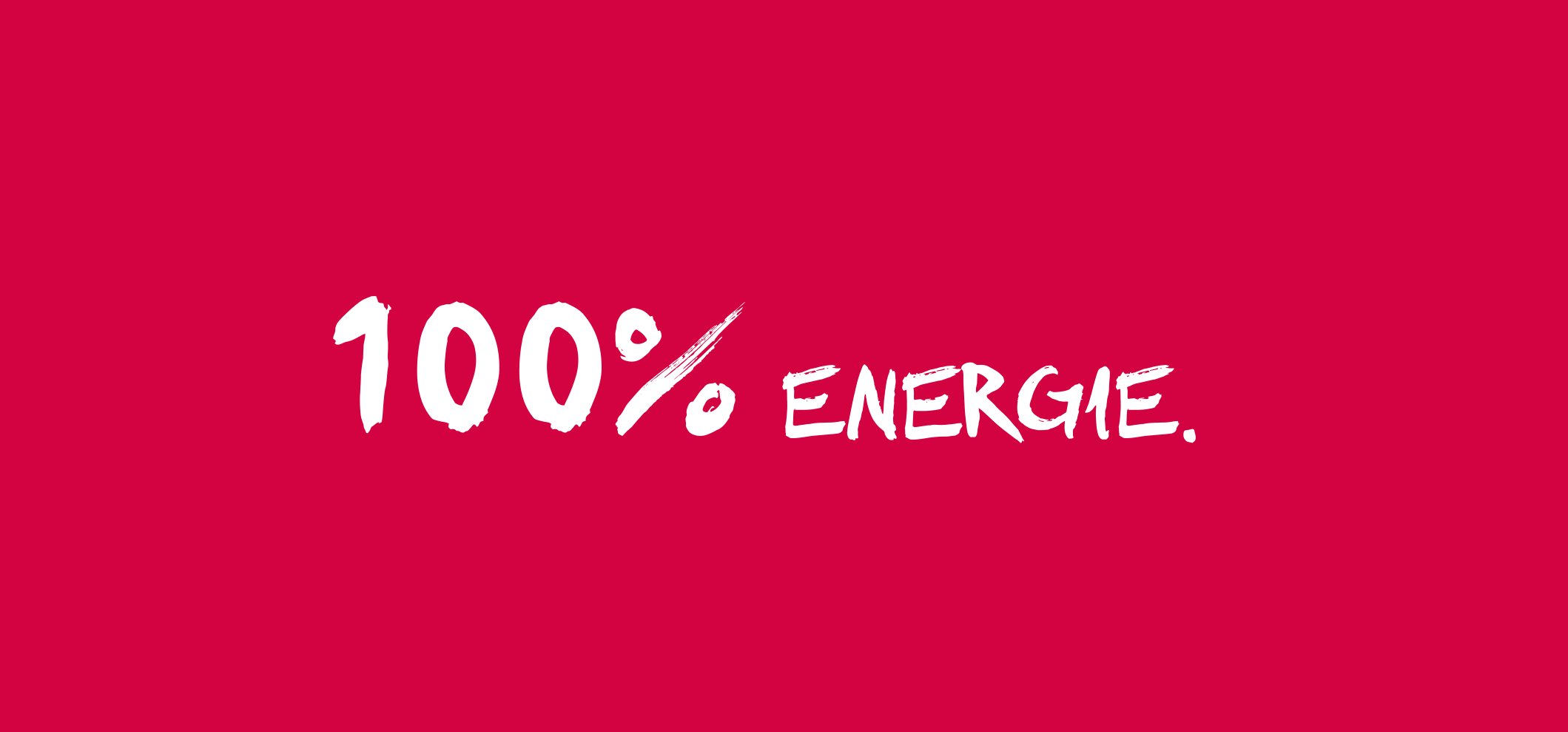 100pro_Energie