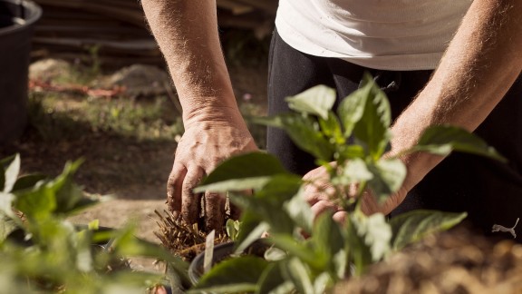 Person bei Gartenarbeit