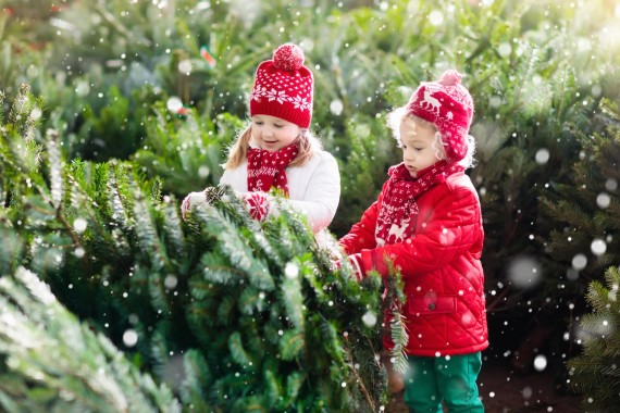 KWG_Weihnachten_neu_2022 KWG_Weihnachten_neu_2022