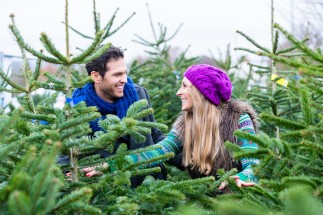 KWG_Weihnachtsbaum_aussuchen_fotoliaKzenon KWG_Weihnachtsbaum_aussuchen_fotoliaKzenon