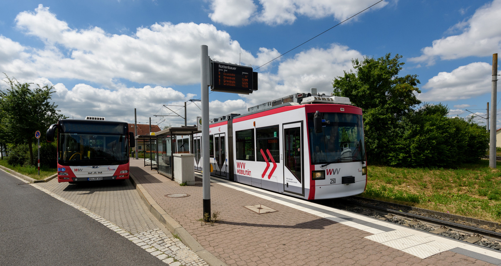 Bus_und_Straba_an_Haltestelle