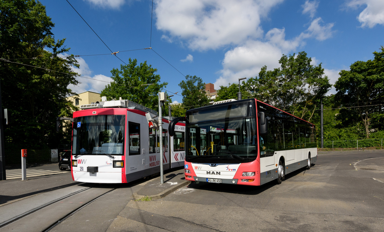 Bus_und_Straba