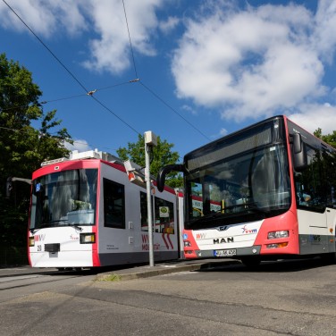Straßenbahn und Bus der WVV