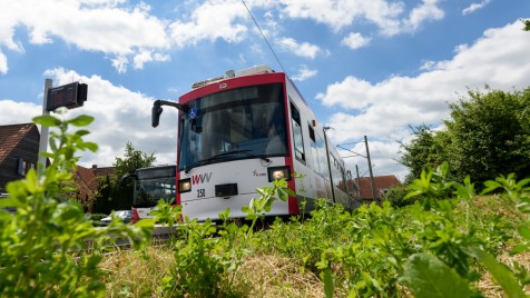 Straba_Bus_Nachhaltigkeit