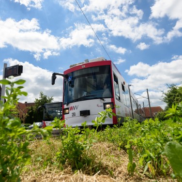 Straba_Bus_Klimaschutz_WVV