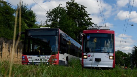 Straba_Bus_WVV Straba_Bus_WVV