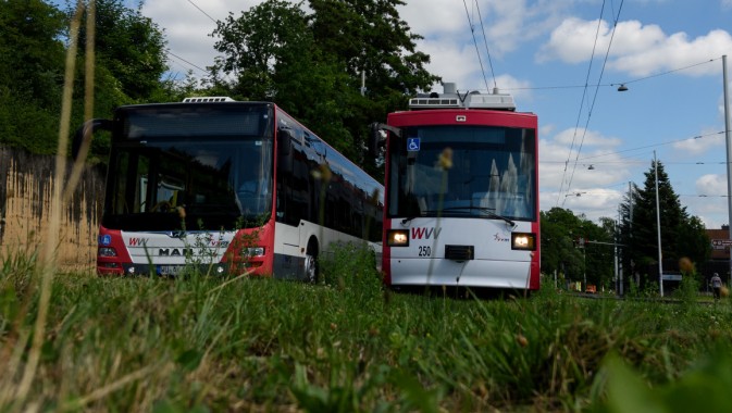 Straba_und_Bus_fahren Straba_und_Bus_fahren