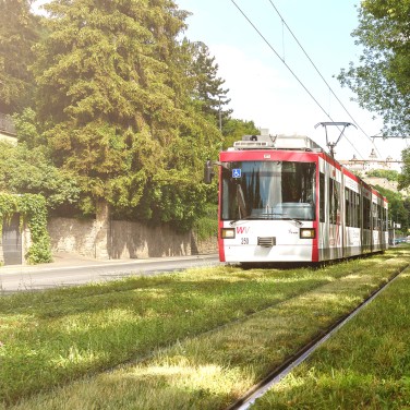 Straßenbahn_WVV