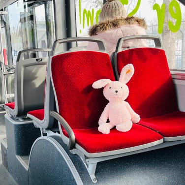 Geldbeutel_vergessen_Bus